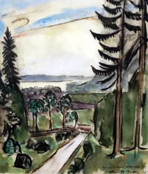 caminho da floresta